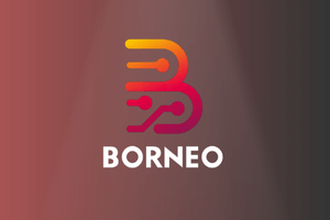 BORNEO 1 USER LICENSE 3 MONTHS ( NEW / RENEW ) 