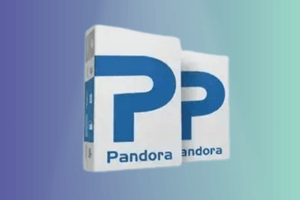 Pandora ( 24 hours )